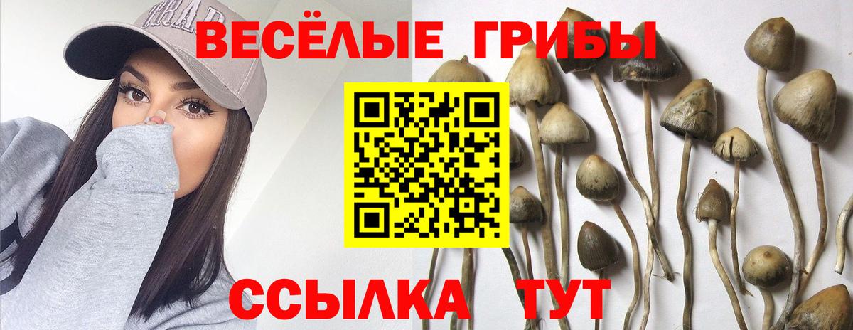 даркнет сайт  Вход с VPN  Родники  Псилоцибиновые грибы мухоморы 
